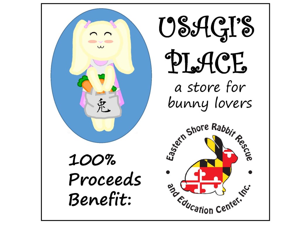 Usagi Store Flyer