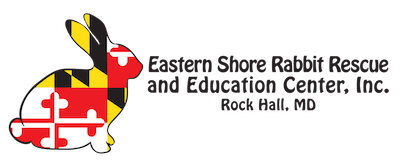 Eastern Shore Rabbit Rescue and Education Center