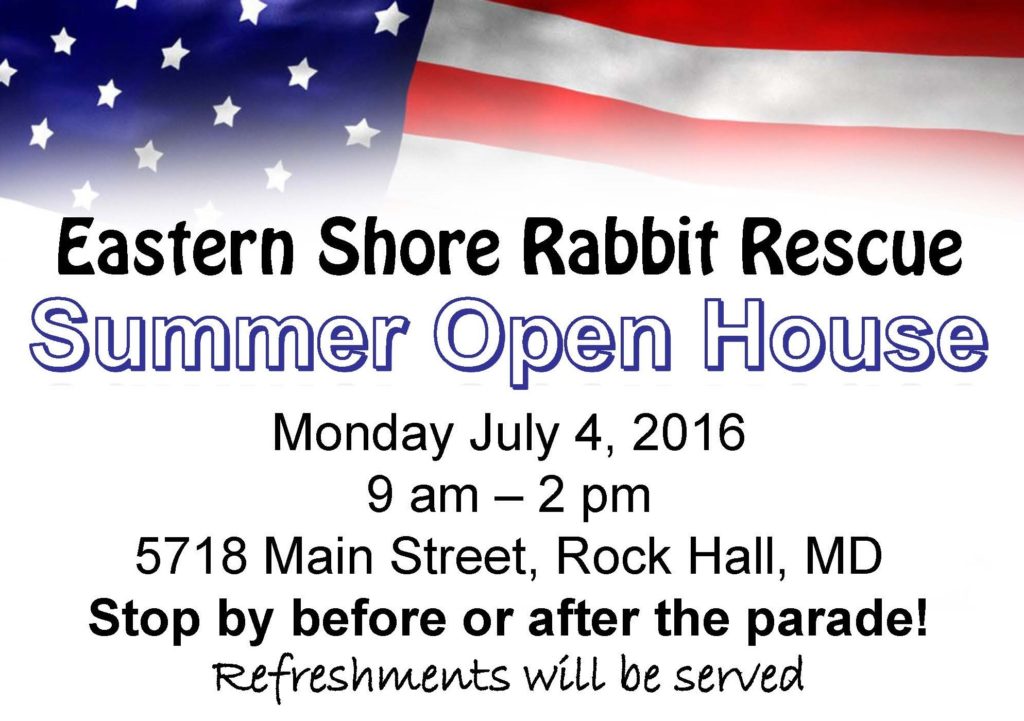 Summer Open House